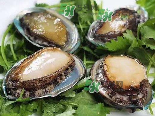 花蛤没开口能吃吗？花蛤不张嘴是不是死了？