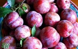 双华李怎么吃不酸？双华李不能和什么一起吃？