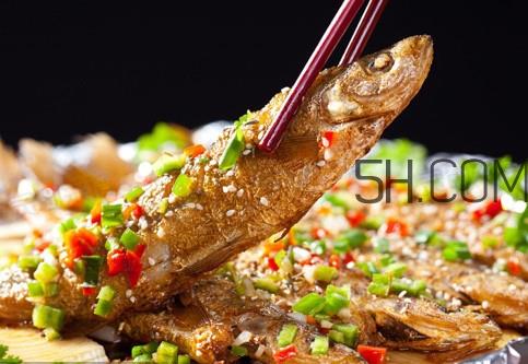 刁子鱼是什么鱼？刁子鱼是翘嘴鲌吗