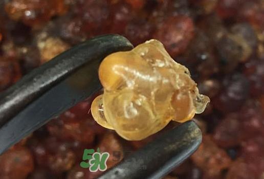 桃胶几月份可以采摘？桃胶几岁小孩能吃