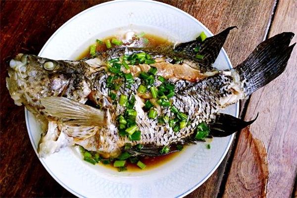 经期可以吃石斑鱼吗 产后可以吃石斑鱼吗
