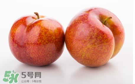 三华李是酸性还是碱性？三华李是不是碱性水果