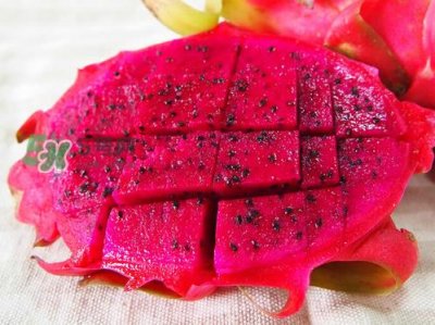 红心火龙果可以减肥吗?红心火龙果能减肥吗?