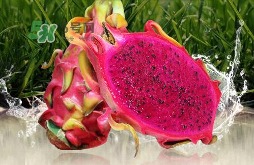 红心火龙果可以减肥吗?红心火龙果能减肥吗? 红心火龙果可以减肥吗?红心火龙果能减肥吗?