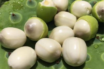 ​新鲜莲子为什么是甜的 新鲜莲子可以降血糖吗