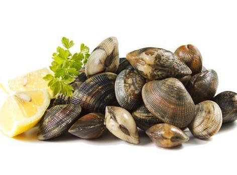 花蛤蜊与什么不能同食？花蛤蜊和什么相克