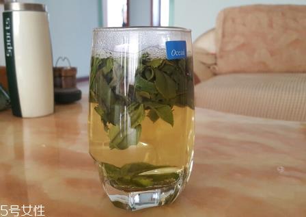 六安瓜片是什么茶？六安瓜片好喝吗？