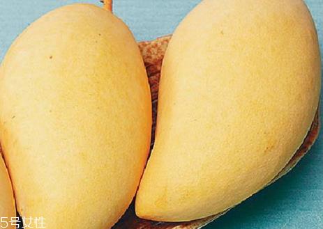 水仙芒果什么季节成熟 水仙芒产地在哪里 水仙芒果什么季节成熟 水仙芒产地在哪里