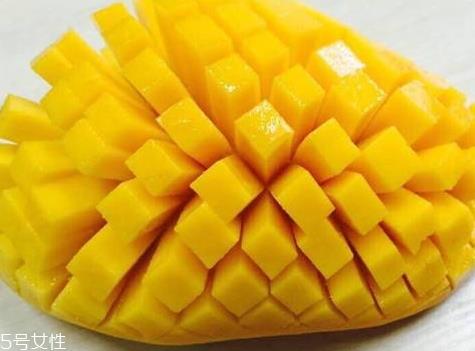 水仙芒果什么季节成熟 水仙芒产地在哪里 水仙芒果什么季节成熟 水仙芒产地在哪里