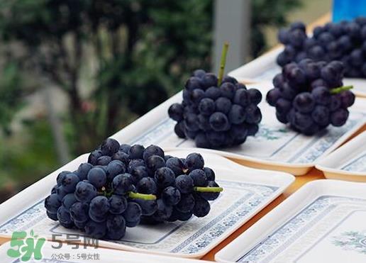 夏黑葡萄皮能吃吗？夏黑葡萄怎么吃？