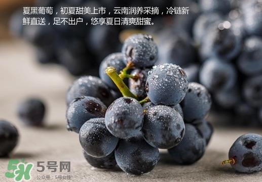 夏黑葡萄皮能吃吗？夏黑葡萄怎么吃？