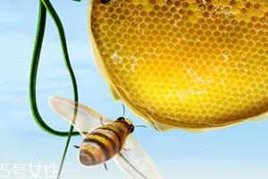 槐花蜜孕妇能喝吗 好处多多 槐花蜜孕妇能喝吗 好处多多