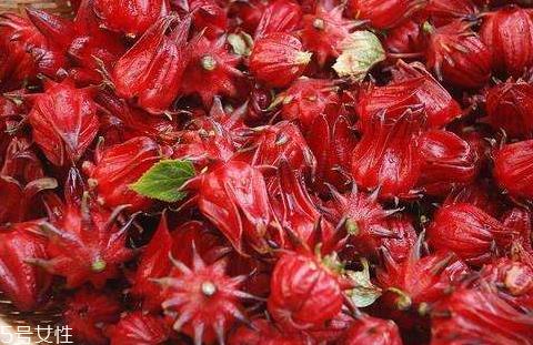 洛神果的功效与禁忌 洛神果的吃法 洛神果的功效与禁忌 洛神果的吃法