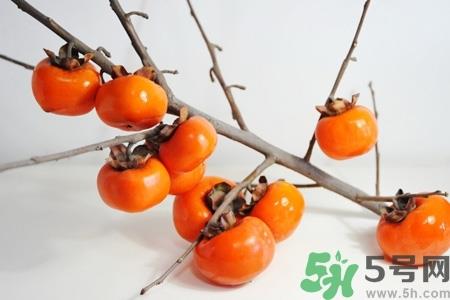 柿子变软还能吃吗?柿子变软是坏了吗? 柿子变软还能吃吗?柿子变软是坏了吗?