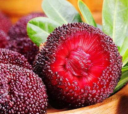 云南杨梅什么时候成熟?云南杨梅哪里产的 云南杨梅什么时候成熟?云南杨梅哪里产的