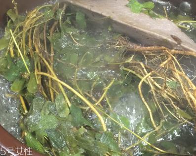 鸡骨草的用途 煲汤做茶 鸡骨草的用途 煲汤做茶