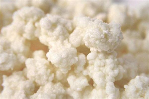 雪莲菌是什么 雪莲菌的功效与作用 雪莲菌是什么 雪莲菌的功效与作用