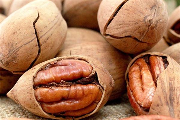 碧根果的热量是多少大卡 碧根果一次吃几个好 碧根果的热量是多少大卡 碧根果一次吃几个好