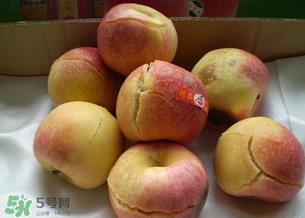 苹果裂口怎么回事?苹果裂口能不能吃? 苹果裂口怎么回事?苹果裂口能不能吃?