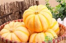 太阳果的营养价值 太阳果的功效与作用