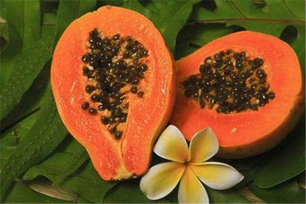 木瓜孕妇可以吃吗 木瓜孕妇吃了有什么好处 木瓜孕妇可以吃吗 木瓜孕妇吃了有什么好处