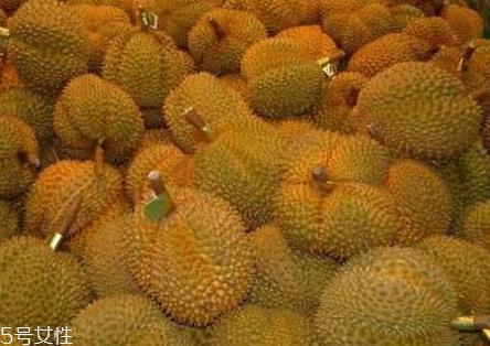 青尼榴莲口感怎么样 青尼榴莲挑选技巧 青尼榴莲口感怎么样 青尼榴莲挑选技巧