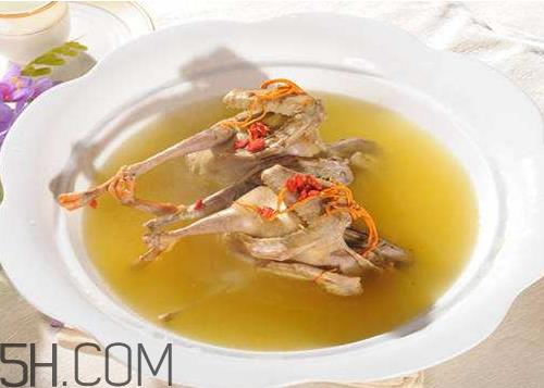 鸽子汤用老鸽还是乳鸽 鸽子汤用什么鸽子