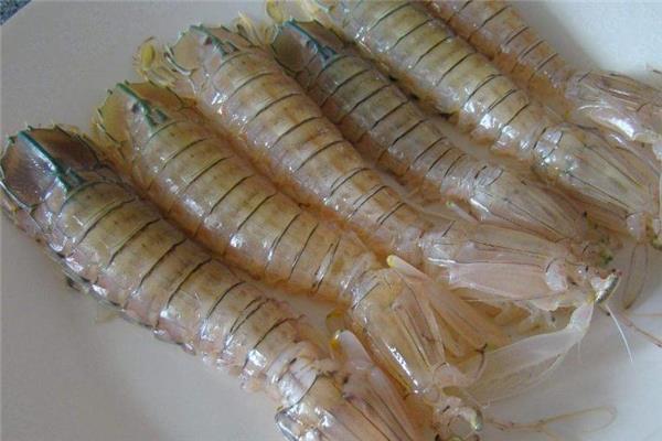 琵琶虾不能和什么同吃 有这些禁忌 琵琶虾不能和什么同吃 有这些禁忌