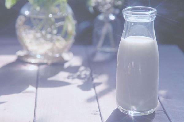 全脂牛奶可以做酸奶吗 全脂牛奶做成酸奶后脂肪含量还高吗 全脂牛奶可以做酸奶吗 全脂牛奶做成酸奶后脂肪含量还高吗