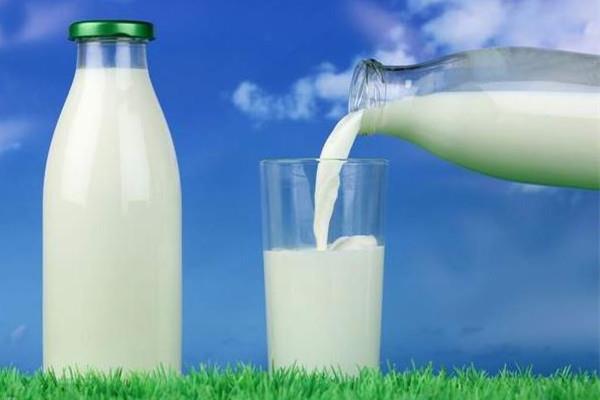 全脂牛奶可以做酸奶吗 全脂牛奶做成酸奶后脂肪含量还高吗 全脂牛奶可以做酸奶吗 全脂牛奶做成酸奶后脂肪含量还高吗