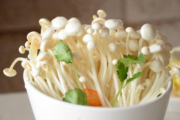 长期吃金针菇好吗 金针菇怎么做好吃 长期吃金针菇好吗 金针菇怎么做好吃