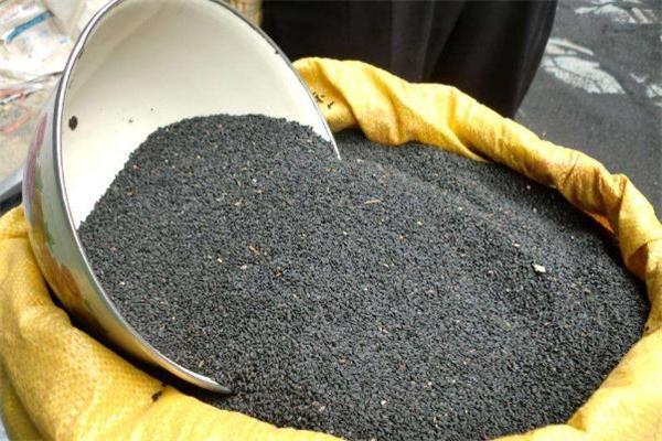 吃黑芝麻可以增强免疫力吗 免疫力低吃黑芝麻有用吗 吃黑芝麻可以增强免疫力吗 免疫力低吃黑芝麻有用吗