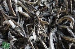 泥鳅干怎么做好吃?泥鳅干怎么吃 泥鳅干怎么做好吃?泥鳅干怎么吃