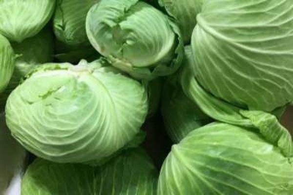 如何炒包菜又软又入味 包菜怎么炒不会出水 如何炒包菜又软又入味 包菜怎么炒不会出水