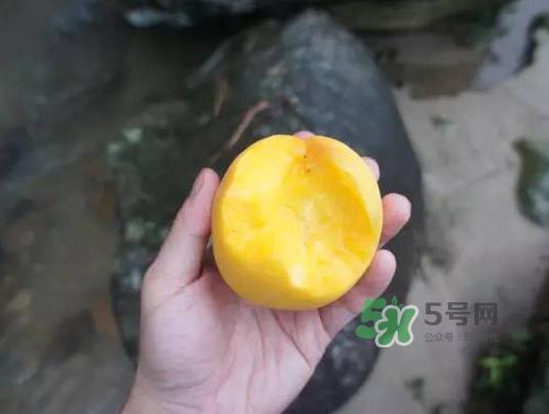 炎陵黄桃什么时候成熟?炎陵黄桃好吃吗? 炎陵黄桃什么时候成熟?炎陵黄桃好吃吗?