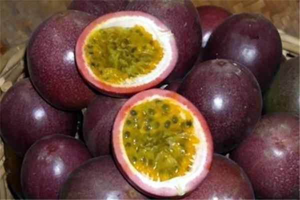 百香果是鸡蛋果吗 百香果是热带水果吗 百香果是鸡蛋果吗 百香果是热带水果吗