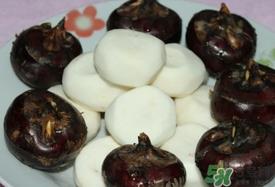 荸荠可以放冰箱吗?荸荠可以冷冻吗 荸荠可以放冰箱吗?荸荠可以冷冻吗