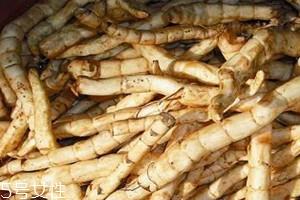 地笋怎么吃 地笋好吃吗 地笋怎么吃 地笋好吃吗