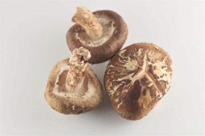 ​冬菇是什么 冬菇是发物吗