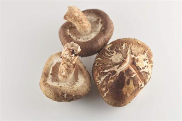 冬菇是什么 冬菇是发物吗 冬菇是什么 冬菇是发物吗