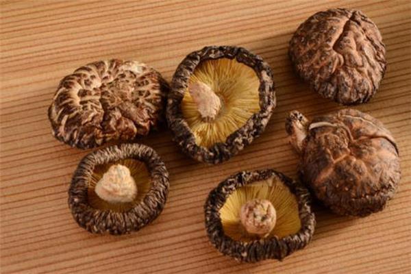 冬菇是什么 冬菇是发物吗 冬菇是什么 冬菇是发物吗