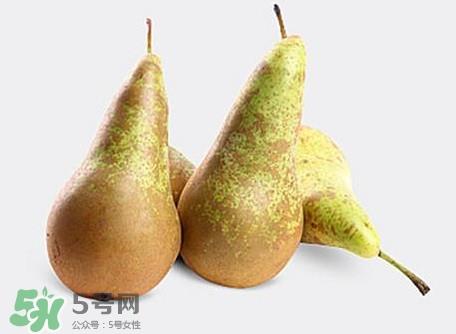 比利时啤梨怎么吃?比利时啤梨怎么是软的? 比利时啤梨怎么吃?比利时啤梨怎么是软的?