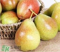 比利时啤梨怎么吃?比利时啤梨怎么是软的? 比利时啤梨怎么吃?比利时啤梨怎么是软的?