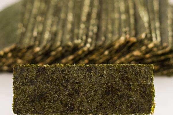 海苔有假的吗 确实有假的 海苔有假的吗 确实有假的