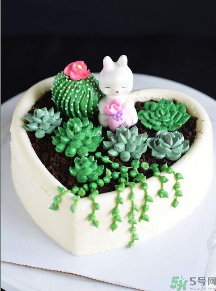 什么是多肉蛋糕?多肉蛋糕怎么做? 什么是多肉蛋糕?多肉蛋糕怎么做?