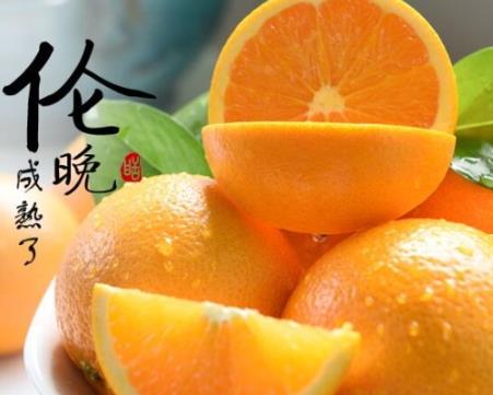 伦晚脐橙的营养价值 伦晚脐橙的功效作用 伦晚脐橙的营养价值 伦晚脐橙的功效作用