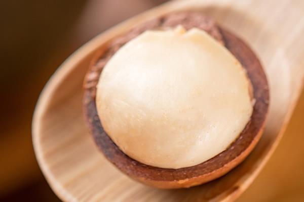 夏威夷果热量 居然有这么高 夏威夷果热量 居然有这么高