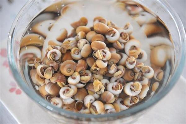 香螺可以生吃吗 香螺可以整个吃吗 香螺可以生吃吗 香螺可以整个吃吗