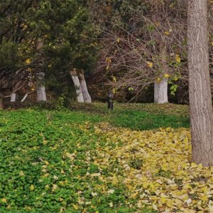 ​公考面试之讲解：如何回答法治与德治的关系