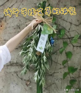 ​端午节门口挂艾草的意义及讲究！